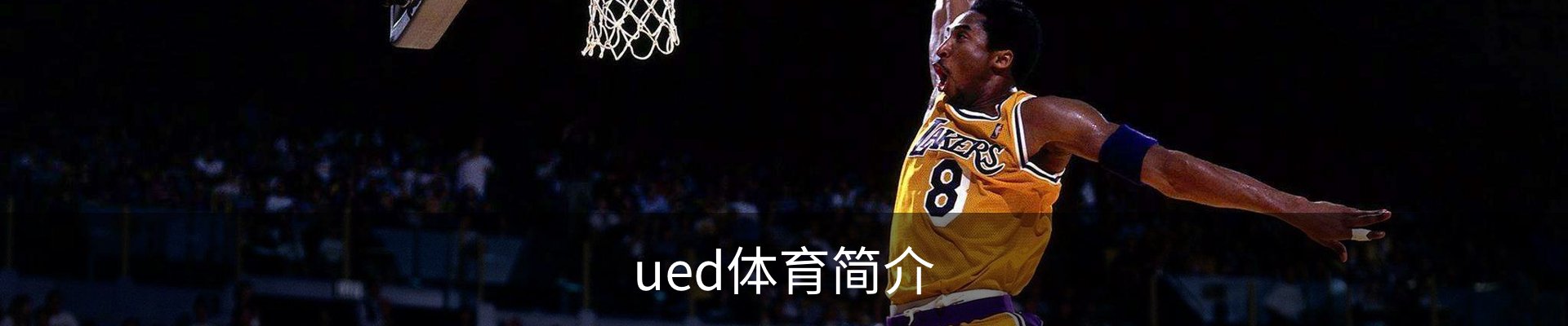ued体育简介